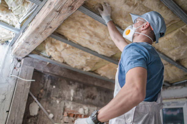 Best Home Insulation Services  in Southside Place, TX